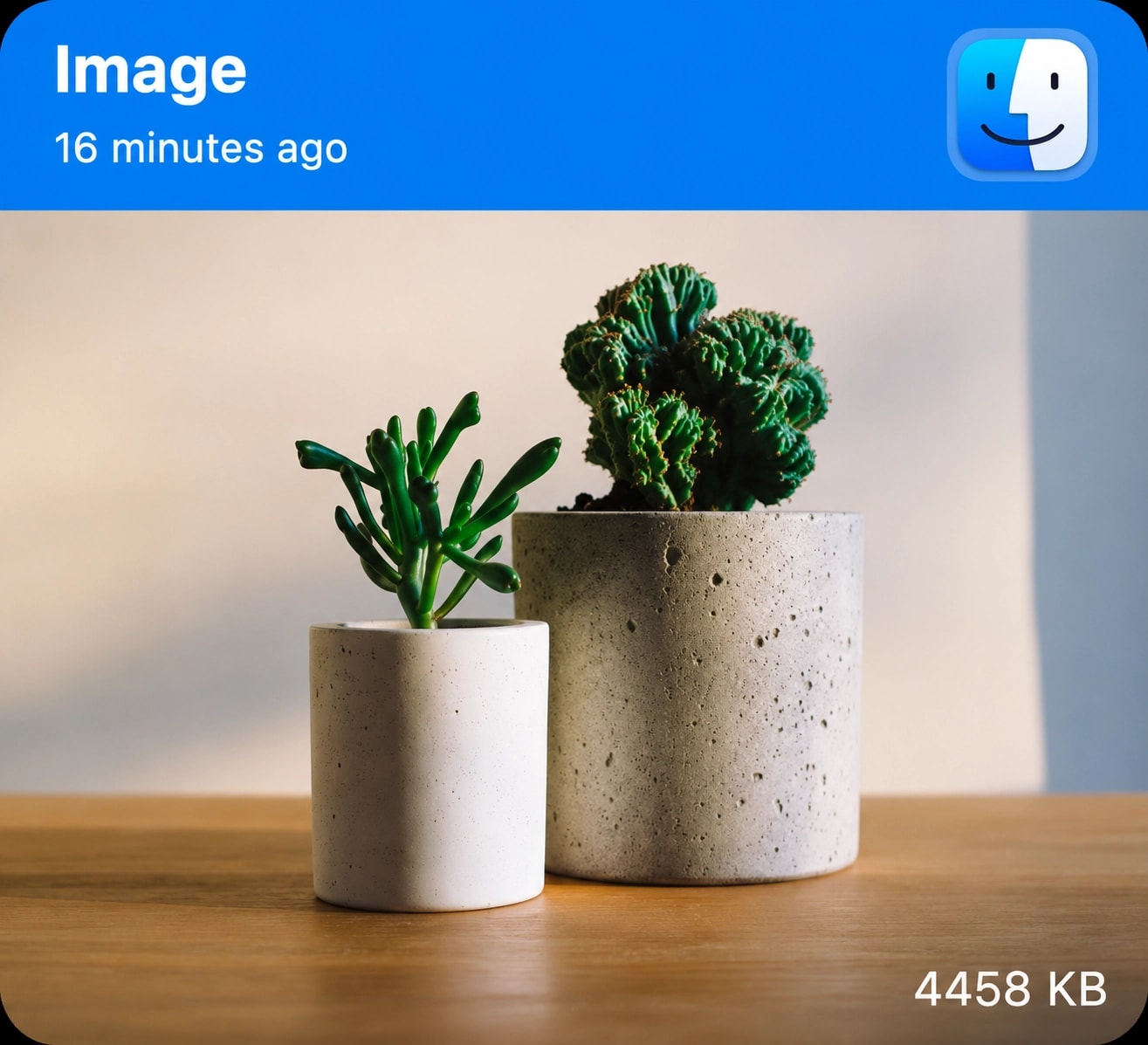 A copied image in Pastely, shown as a preview thumbnail with its file size and the app it came from.